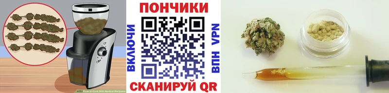 Canna-Cookies марихуана  как найти закладки  Хасавюрт 