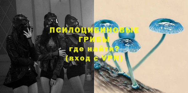 твердый Алексин