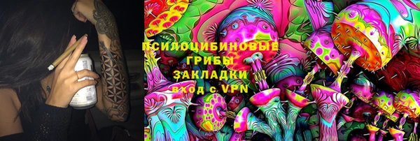 гидра Алексеевка