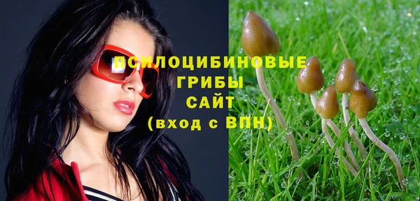мескалин Абаза