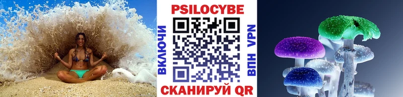 Галлюциногенные грибы MAGIC MUSHROOMS  где купить наркоту  Хасавюрт 