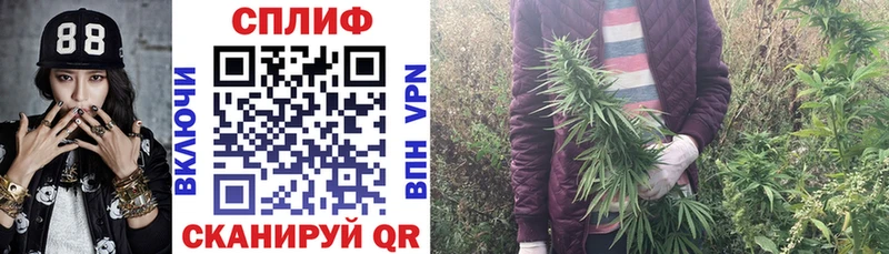 KRAKEN вход  купить  цена  Хасавюрт  площадка телеграм  Конопля THC 21% 